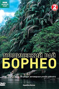 Постер к фильму Тропический рай Борнео