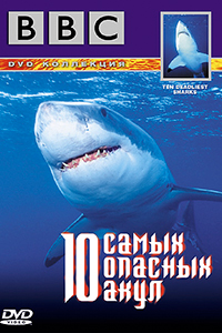 Смотрите онлайн 10 самых опасных акул