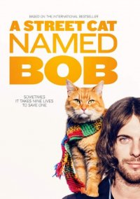 Смотрите онлайн Уличный кот по кличке Боб