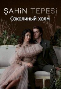 Постер к фильму Соколиный холм (на русском языке)